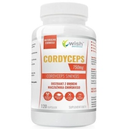WISH Cordyceps 750 mg Ekstrakt z Owoców Maczużnika Chińskiego 120 Kapułek